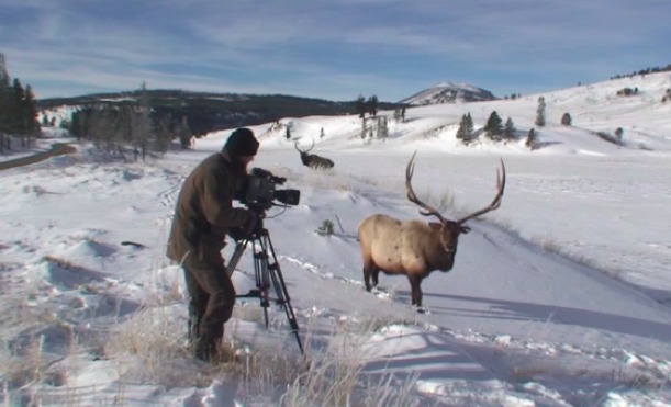 Näher am Wild mit Outfox